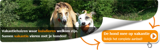Vakantiehuizen met hond